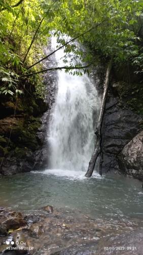 a waterfall in the middle of a river at Econative Baru Toucan Cabin con vista al bosque de Platanillo in Platanillo
