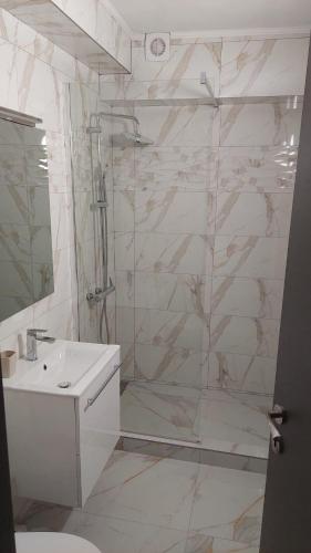 a bathroom with a shower and a toilet and a sink at Casa 1 Mai in Curtea de Argeş