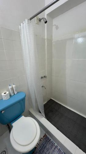 a bathroom with a blue toilet and a shower at Pequeño Monoambiente Céntrico IGR 1D in Puerto Iguazú