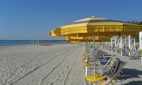 una fila de sillas y sombrillas en una playa en serra alimini 2, en Otranto