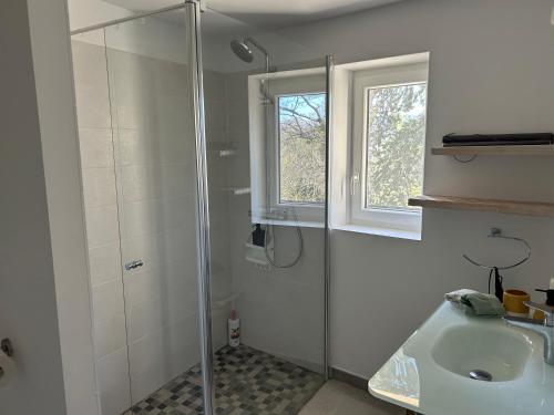 a bathroom with a shower and a sink at Mon Chemin Privé in Mirabel-aux-Baronnies