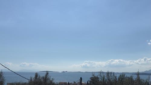 Φυσικό τοπίο κοντά σε αυτό το διαμέρισμα