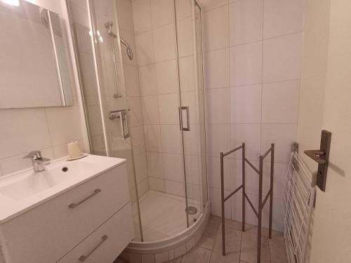une salle de bain avec une douche, des toilettes et un lavabo dans l'établissement T2 2 étoiles, parking privé, proche Thermes et étang, clim, Wi-Fi, animaux acceptés - FR-1-571-15, à Balaruc-les-Bains