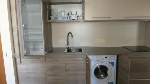 une cuisine avec un évier et une machine à laver dans l'établissement Cat Garden Premium Apartments Riga, à Riga