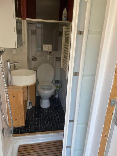 a small bathroom with a toilet and a sink at OTA T2 proche rivières et plages, randonnées in Guaita