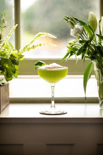 a martini glass sitting on a window sill with plants at Great Southern Killarney in Killarney