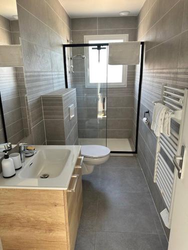 une salle de bain avec un lavabo, des toilettes et une douche dans l'établissement House 30 With 5 Bedrooms Lechaffardcom, à Satolas-et-Bonce