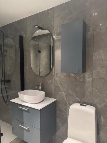a bathroom with a sink and a toilet and a mirror at Lilla huset på Norregårda in Hammenhög