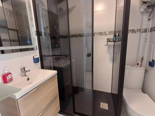 une salle de bain avec une douche, un lavabo et des toilettes dans l'établissement T1 cosy à Balaruc-les-Bains avec clim, terrasse et animaux admis - FR-1-571-59, à Balaruc-les-Bains