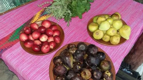 two bowls of fruit sitting on a table at Ferme Dar Aicha green Bellouta in Bellouta