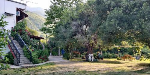 Ein Garten an der Unterkunft Akamatis Giorgos