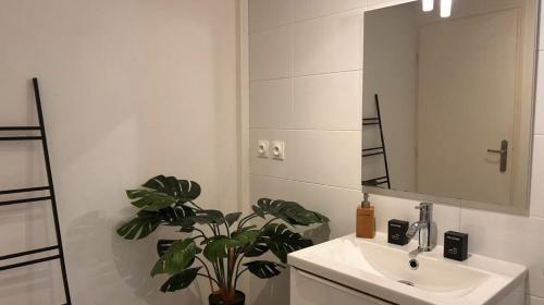 a bathroom with a sink and a mirror and a plant at L'intemporel Central - Gare in Mâcon