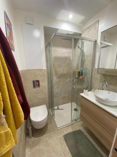 une salle de bain avec une douche, des toilettes et un lavabo dans l'établissement T2 direct sea access with garden, à Calvi