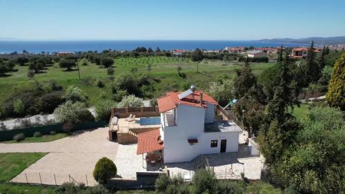 Villa Lion