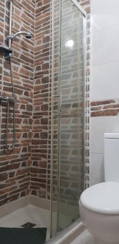 a bathroom with a glass shower with a toilet at Casa Maria Apartments in Santa Maria