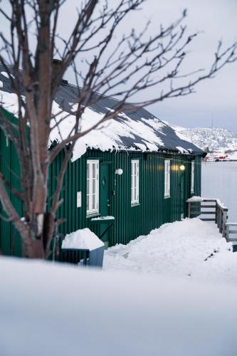 a green building in the snow with a tree at Kræmmervika Rorbuer - Rustic Cabins & Hostel in Lofoten in Ballstad