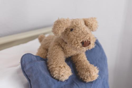 a teddy bear sitting on top of a hand at The Old Vicarage Hotel & Restaurant in Bridgwater