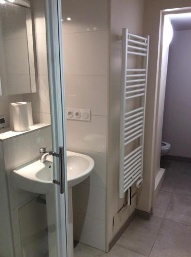 une salle de bain avec un lavabo et des toilettes dans l'établissement Huez village beautiful apartment, à Huez