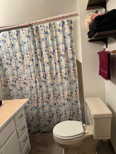 a bathroom with a toilet and a shower curtain at Mixon Villa-Laurel in Laurel
