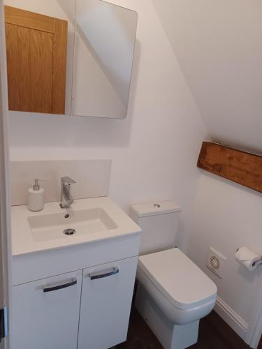 a white bathroom with a toilet and a sink at The Studio Loft - A cosy town centre apartment in Tewkesbury