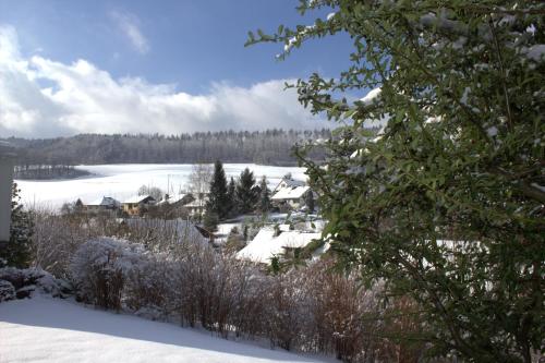 a village in the snow with a lake at Ferienhüsli in Siglistorf