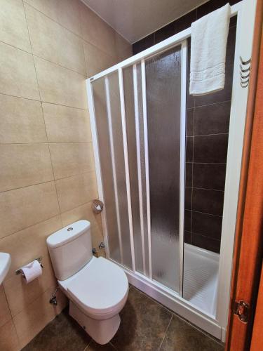 a bathroom with a toilet and a shower at Albergue Rectoral San Mamede da Pena EXCLUSIVE FOR PILGRIMS in Negreira