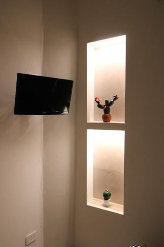 a room with two shelves with a tv and a plant at Benny House in Siena