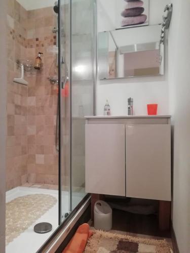 une salle de bain avec douche et lavabo dans l'établissement Cannes - Centre- Film Festival, à Cannes