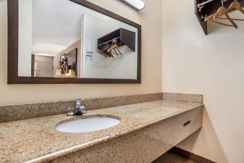 a bathroom with a sink and a mirror at Red Roof Inn Montgomery - Midtown in Montgomery