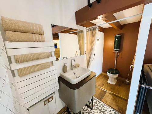 une salle de bain avec un lavabo, des toilettes et un miroir dans l'établissement Havre du Bassin avec piscine et studio indépendant, à Gujan-Mestras