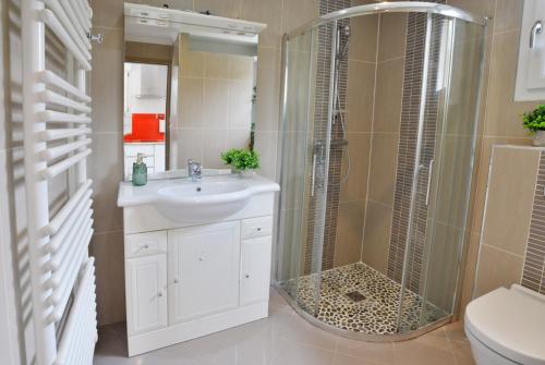 a bathroom with a sink and a shower at Ebène studio Centre ville Climatisation Terrasse Disneyland 4 personnes et 1 bébé in Bailly-Romainvilliers