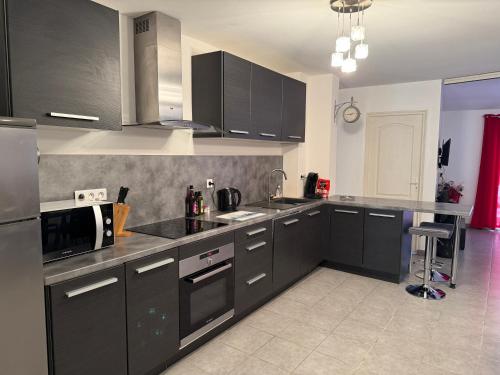 une cuisine avec des armoires noires et des appareils en acier inoxydable dans l'établissement Le Paradis Caché, à Causses-et-Veyran