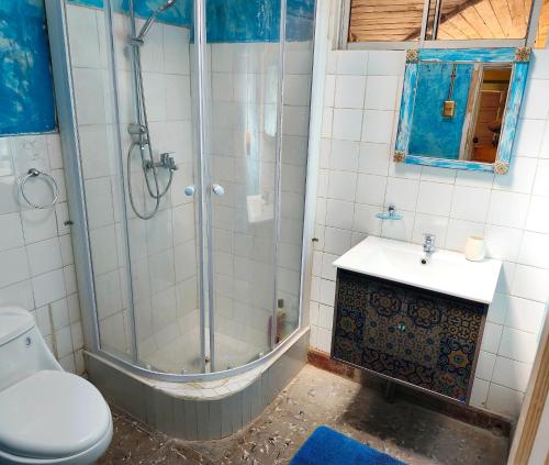 ein Badezimmer mit Dusche, Toilette und Waschbecken in der Unterkunft Departamento Vintage in Colbún