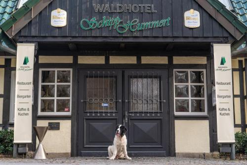 a dog sitting in front of a building at Waldhotel Schipp-Hummert in Emsdetten
