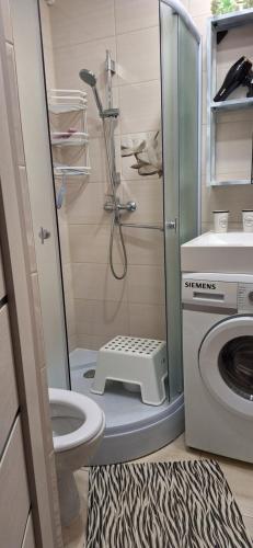 Koupelna v ubytování Vytauto Centriniai apartamentai