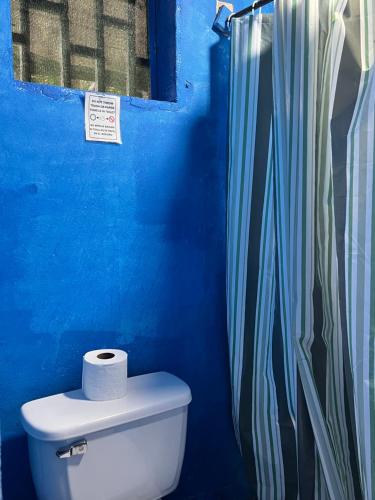 a blue bathroom with a toilet and a shower curtain at Chosa Manglar Suites & Cabins in Puerto Jiménez