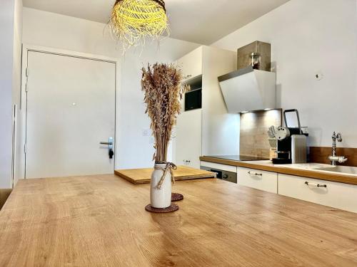 Kuchyň nebo kuchyňský kout v ubytování Appartement plage et lac