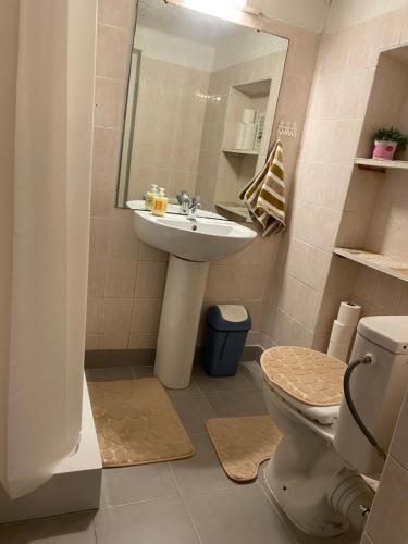 a bathroom with a sink and a toilet at Miracles Apt parking gratuit in Aigues-Mortes