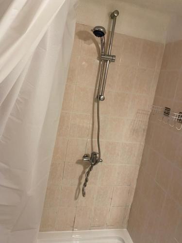 a shower in a bathroom with a toilet at Miracles Apt parking gratuit in Aigues-Mortes