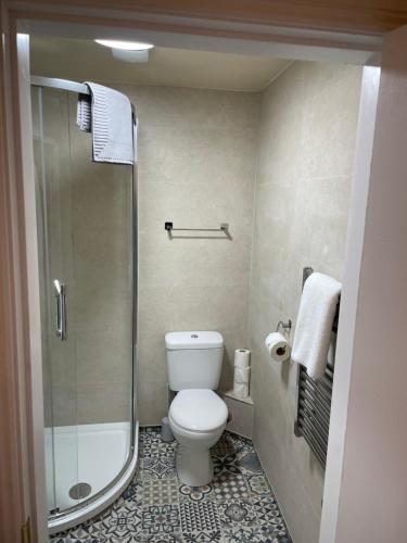 ein kleines Badezimmer mit Toilette und Dusche in der Unterkunft Fahertys bar rooms in Oughterard