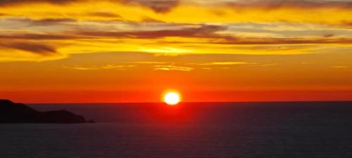 T3 Baie de Calvi jardin panoramique vue mer