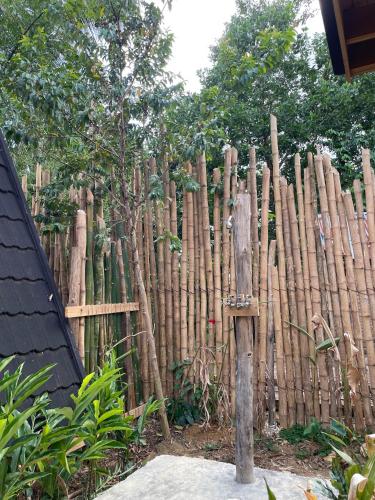 Κήπος έξω από το Leisy's Garden Tiny Cabins