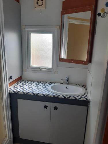 une salle de bain avec un lavabo et un miroir dans l'établissement Joli mobilhome, à La Baule