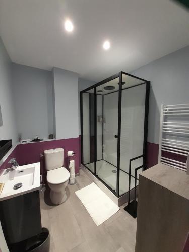 une salle de bain avec une douche, des toilettes et un lavabo dans l'établissement Voiron grande maison, à Voiron