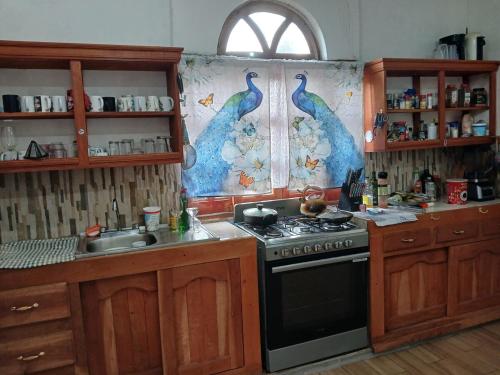 a kitchen with blue peacocks painted on the wall at Vuelo del Águila 4 suites 6 bathrooms alberca in La Esperanza