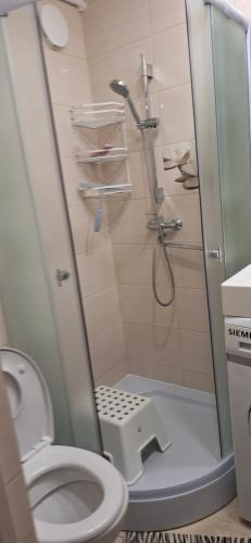 a bathroom with a shower and a toilet at Vytauto Centriniai apartamentai in Šiauliai
