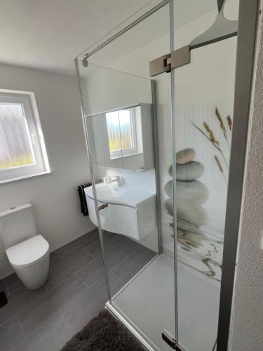 a bathroom with a shower and a toilet and a sink at Großzügige Ferienwohnung in Laubach