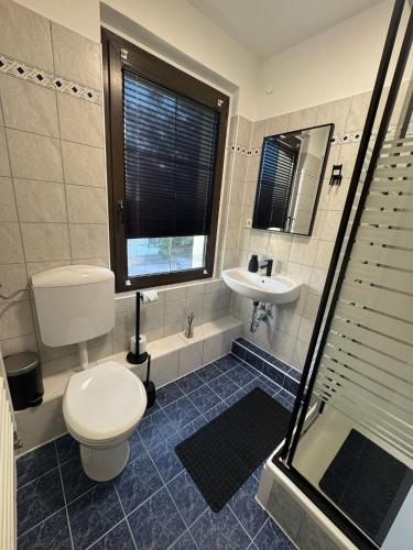 a bathroom with a toilet and a sink at PS Apartments Freienhufen in Großräschen