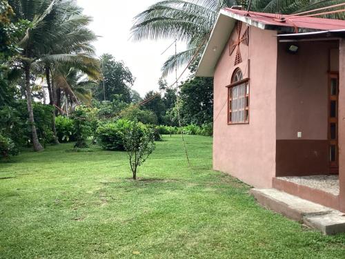 a small tree in a yard next to a house at Susurro de estrellas in La Esperanza