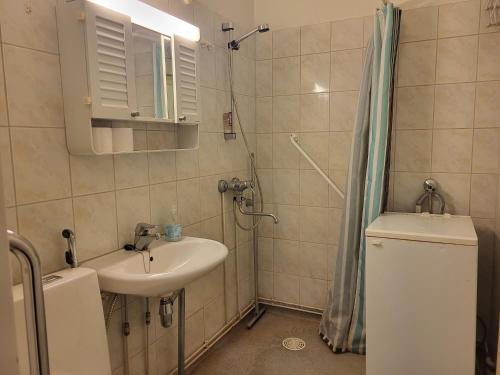 a bathroom with a sink and a toilet and a shower at Center apartment Joensuu in Joensuu